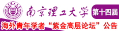 插骚B南京理工大学第十四届海外青年学者紫金论坛诚邀海内外英才！